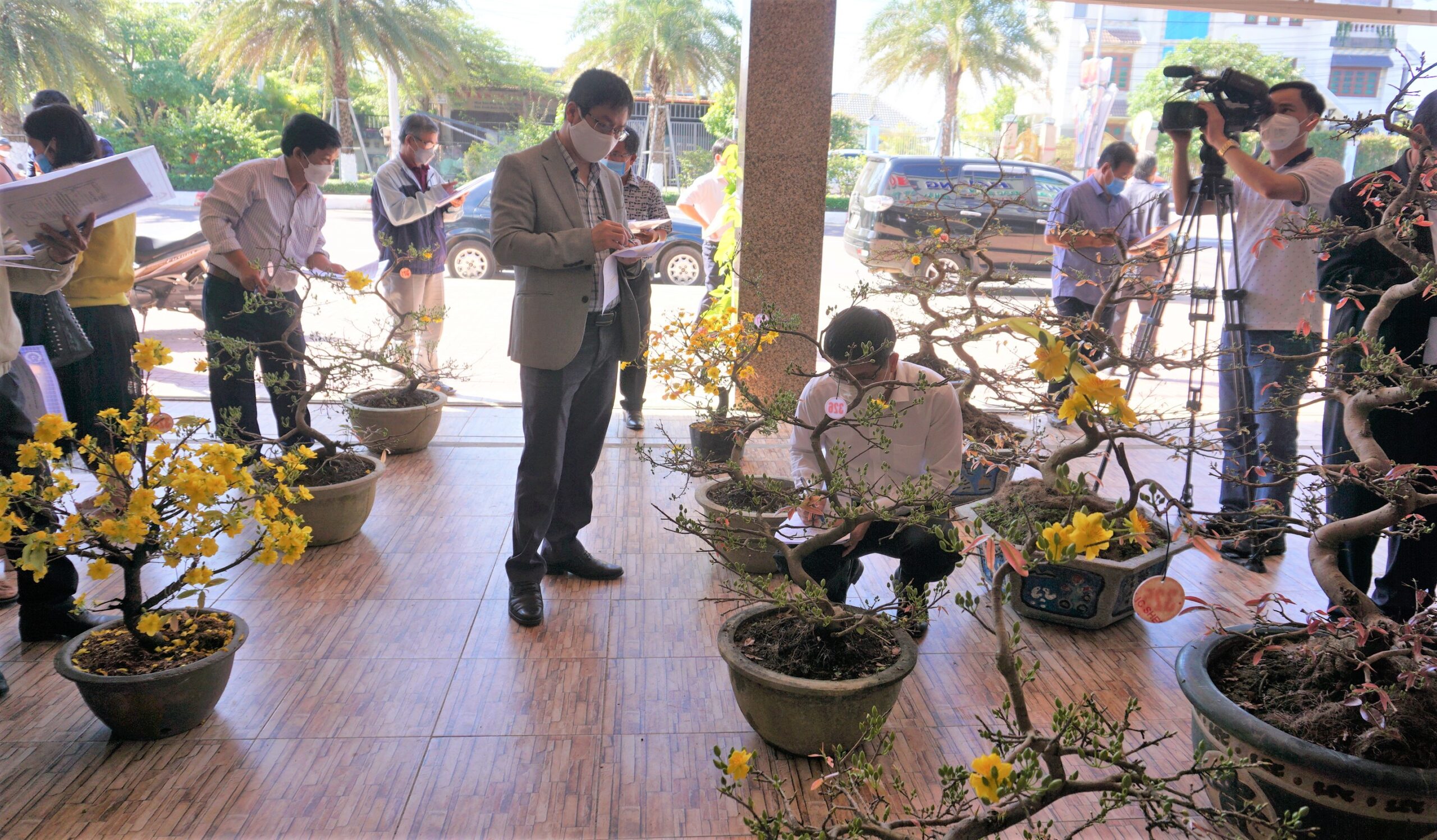 Các đại biểu đánh giá chất lượng và cảm quan của mai vàng Bình Định tại hội thảo. Ảnh: HH