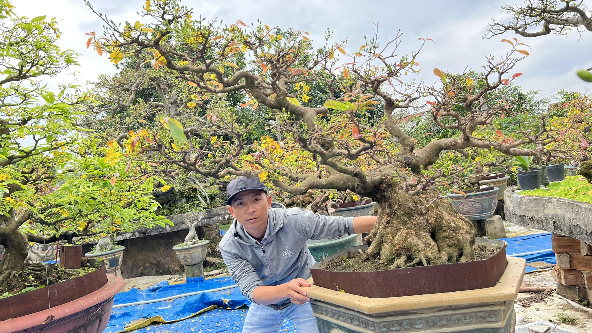 Nghê nhân trẻ Ngô Mạnh Tuân có niềm đam mê cây bonsai nghệ thuật